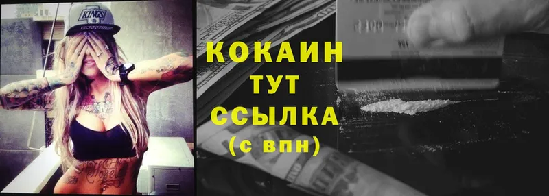 где продают   Новозыбков  Кокаин Columbia 